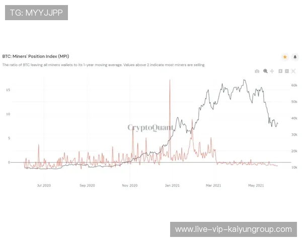 体育赛事学术研讨会探讨竞技体育未来趋势，体育赛事未来发展趋势